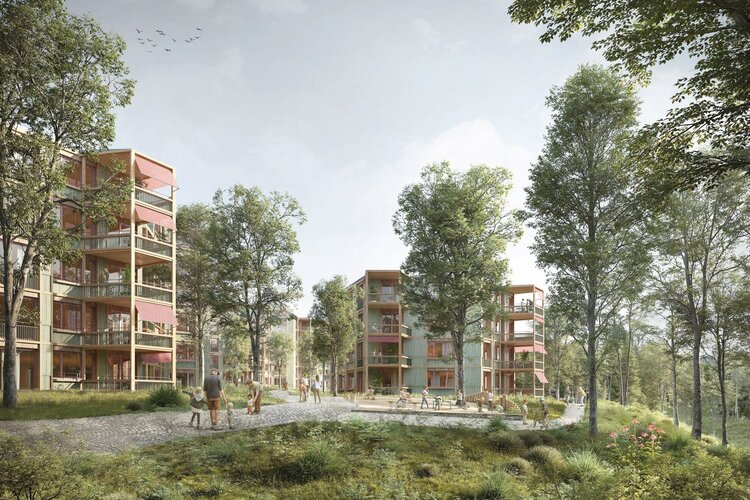 Die beste Projektstudie